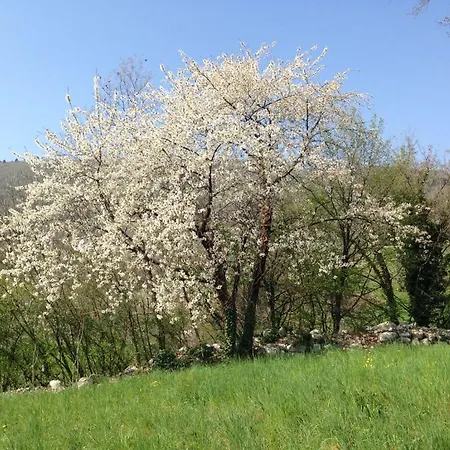 Fattoria Togonegro Agroturismo Marostica