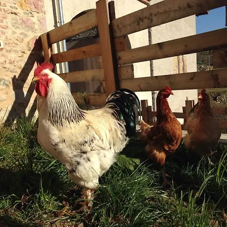 Agroturismo Fattoria Togonegro Marostica