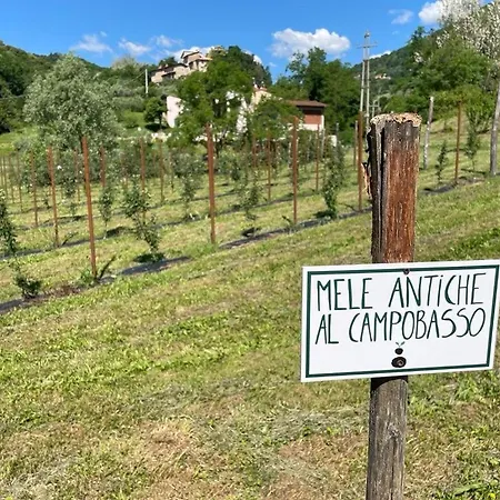 Fattoria Togonegro Marostica